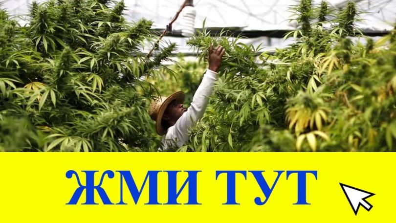 Купить наркотики в Тогучине