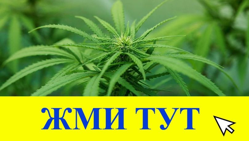 Купить наркотики в Тогучине